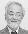 Portrait of Yoshinori Ohsumi